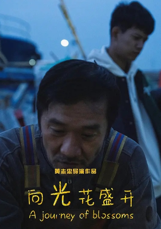 王者荣耀朵莉亚 - 网飞猫